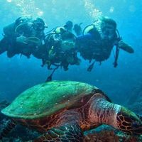 Maggie Shiple's Photo