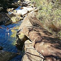 Budhy Pepito Grillo的照片