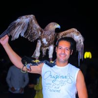 Ahmed  Abd-Allah's Photo