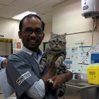 Ajas Mohammed's Photo