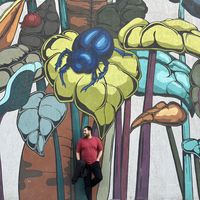 Mahmoud Abd elsamad's Photo