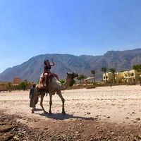 Marah Shaheen的照片