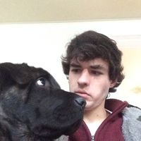 Kevin Sullivan的照片