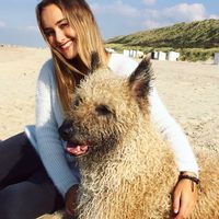 jill Driesen的照片