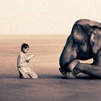 Fotos de Alisha Musthafa