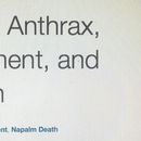 Lamb Of God's picture