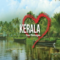 Фотографии пользователя Peacock Holiday