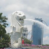 Ninj Salazar的照片