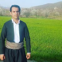 Behruz Mohamadi Marivan's Photo