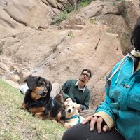 Melina Gates的照片