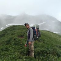 Jack Wallis的照片