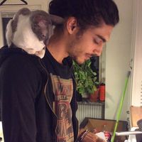 Ebrahim Mohiy Tawfek的照片