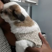 Amanda Ferreira's Photo