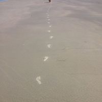 Guacira Costa的照片