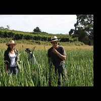 Charles and Marie Cournet's Photo