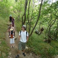 Ellie, Tashi and Lulu Smale-Fletcher's Photo