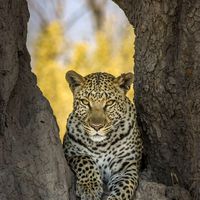 Rodgers Sibanda的照片