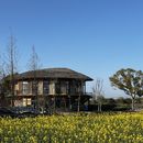 Picnic in the countryside (in Shanghai)'s picture