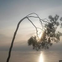 Valeria De Grandis的照片