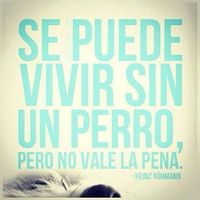 Ernesto Maura's Photo