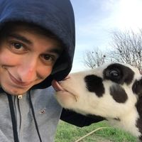 Ayman Hafid的照片