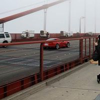 Pinar Yanardag的照片