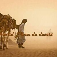Desrto Maroc's Photo