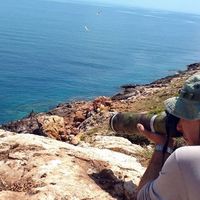 Jiannis markianos's Photo