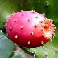 Elena Marcos's Photo