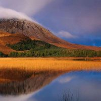 Gary Dow's Photo
