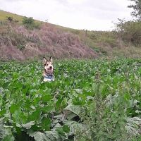 Maxime Cayeux's Photo