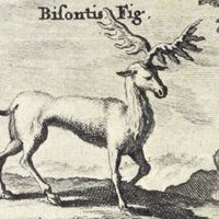 Pablo Bücheler的照片