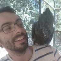 samuel marchetto的照片