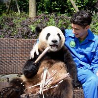 Alex Castillo's Photo