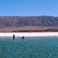 Fotos von Anne Wigerinck