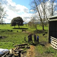 Tony Cowley的照片