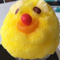 Connie  Connie的照片