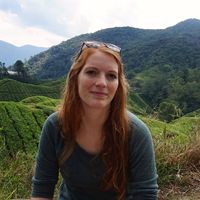 Diane Dewalque的照片