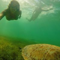 Manon Bordaries's Photo