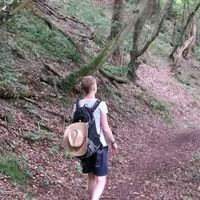 Fotos de Sophie Hartwig