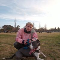 Zdjęcia użytkownika Franco Mauri