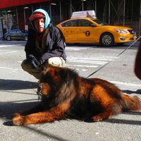 Phillip Liu的照片