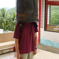 Marmouset atomic's Photo