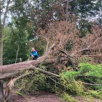 Marie Dufait's Photo