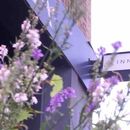 Weekly Guided Thai Massage + Yoga at Inner Embassy's picture