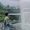 Zulian Teukum Syah's Photo