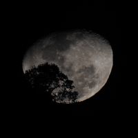 Chacrita jipy的照片