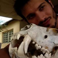 Фотографии пользователя Marco Milo