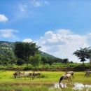 Halu Chilume Gange Trek's picture