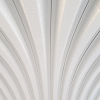 Carlos Guemer的照片